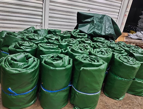 草莓视频污软件