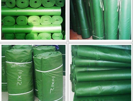 草莓视频污软件